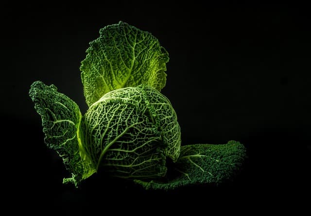 vegetable